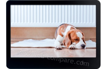 ROLLEI Pissarro DPF-86 Noir - 8 pouces