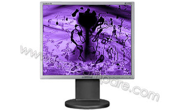 SAMSUNG SyncMaster 943B v2 Argent - 19"