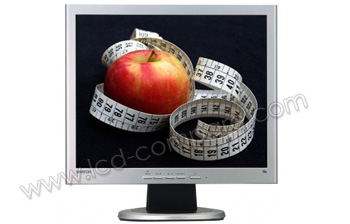 SAMSUNG Samtron 95B - 19 pouces