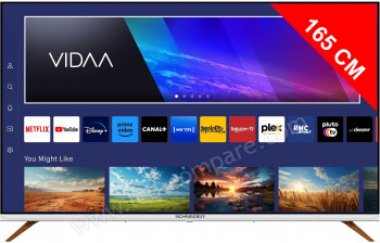 SCHNEIDER GMS65F1 - 164 cm - A partir de : 428.99 &euro; chez Schneider TV-Audio chez Cdiscount
