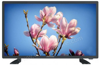 SCHAUB-LORENZ LD215-M15FHB - 55 cm