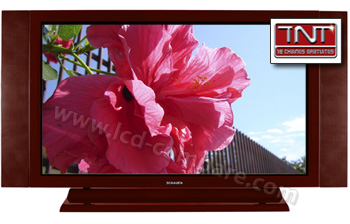 SCHAUEN MP42PV6HD Pro Marron - 107 cm