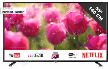 SHARP 55BJ3E - 139 cm