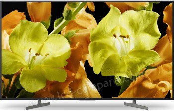 SONY KD-49XG8196 - 123 cm