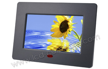 TAMASHI CP 7 - 7 pouces