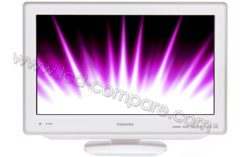 TOSHIBA 19DV616DG - 48 cm