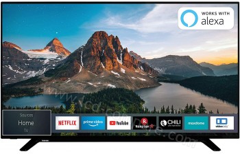 TOSHIBA 49U2963DG - 123 cm