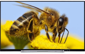 TOSHIBA 49U7763DG - 124 cm