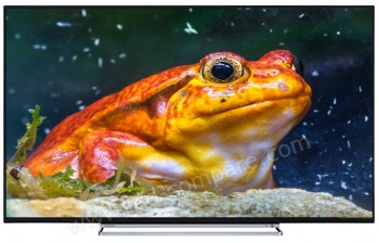 TOSHIBA 55U6763DG - 140 cm