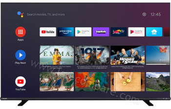 TOSHIBA 東芝】REGZA 43型4K Google TV液晶顯示器(43C350NT) - momo購物網- 好評推薦-2025年2月