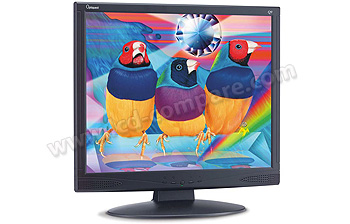 VIEWSONIC Optiquest Q9b - 19 pouces
