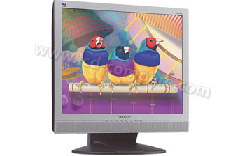 VIEWSONIC VG910s - 19 pouces