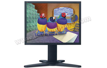 VIEWSONIC VP2130b - 21 pouces