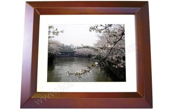 XORO DPF 8B1 - 8 pouces